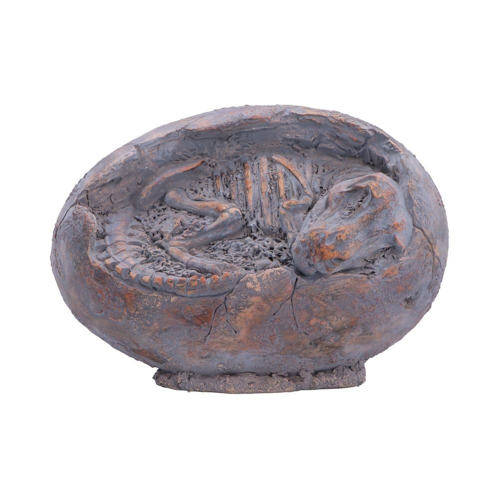 Nemesis Now - Tyrannosaurus Rex Egg Beeld/figuur - Multicolours